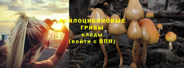 амфетамин Ельня