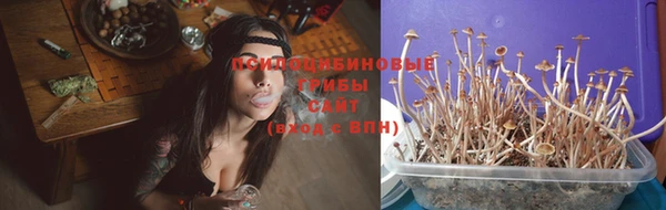 дживик Елабуга