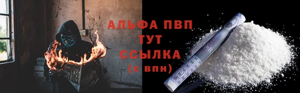 шишки Чегем
