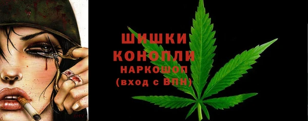 дживик Елабуга