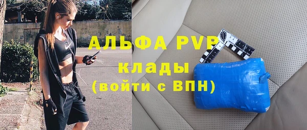 дживик Елабуга