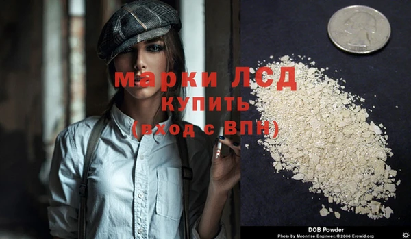 дживик Елабуга