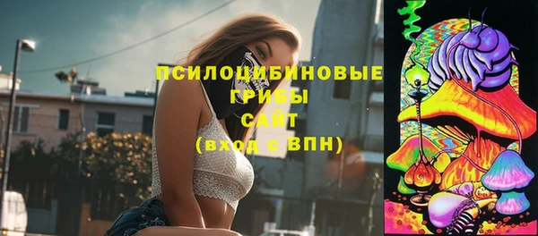 соль ск Чекалин