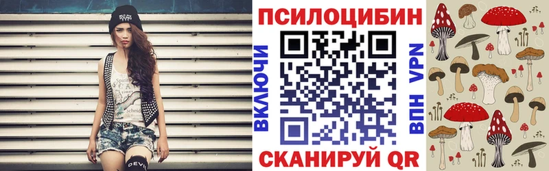 Галлюциногенные грибы Psilocybe  Славск 